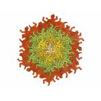 Математические игры Ящерки учат математике (56 шт.)