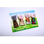 Пальчиковые наборы по сказкам Театр пальчиковый Три поросенка 