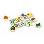 Настольные игры Лото Растительный мир