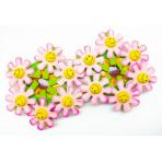 скрапбукинг фото Набор деревянных декоративных прищепок