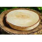 Спилы деревьев, подставки Срез дерева береза с корой (20-22см)