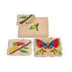 Геометрические пазлы, мозайки Пазл - Жизнь бабочки  4 слоя